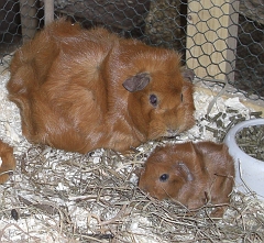 Mit Mutter Venus und Tante Ximena